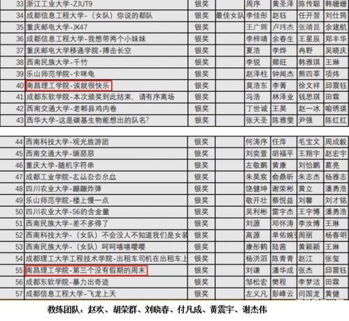 南昌理工學(xué)院在四川省計算機程序設(shè)計競賽中榮獲銀獎